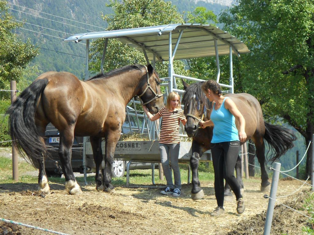 Ferienwohnung Andritsch Sankt Georgen im Gailtal Eksteriør billede